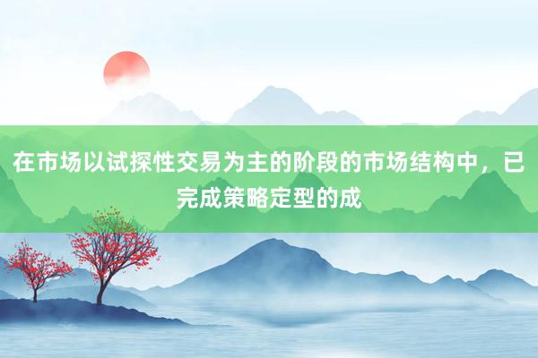 在市场以试探性交易为主的阶段的市场结构中，已完成策略定型的成