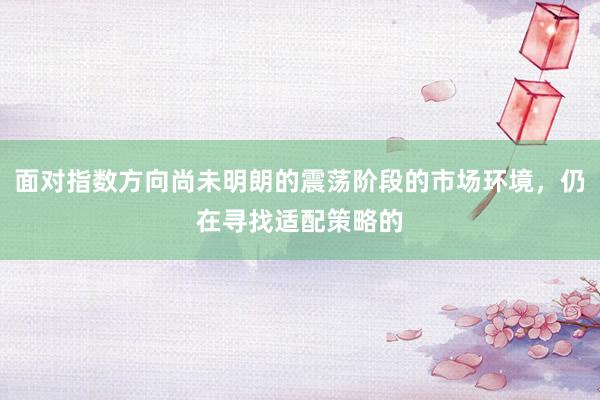 面对指数方向尚未明朗的震荡阶段的市场环境，仍在寻找适配策略的