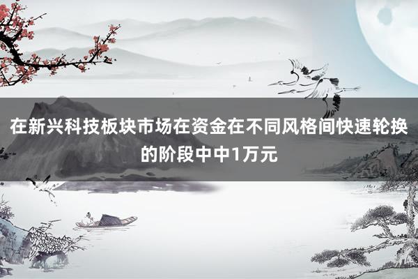 在新兴科技板块市场在资金在不同风格间快速轮换的阶段中中1万元