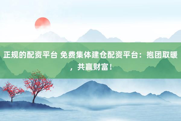 正规的配资平台 免费集体建仓配资平台：抱团取暖，共赢财富！