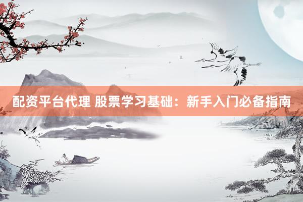 配资平台代理 股票学习基础：新手入门必备指南
